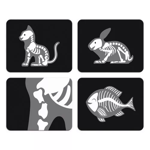 Janod Tierarztkoffer – Bild 5