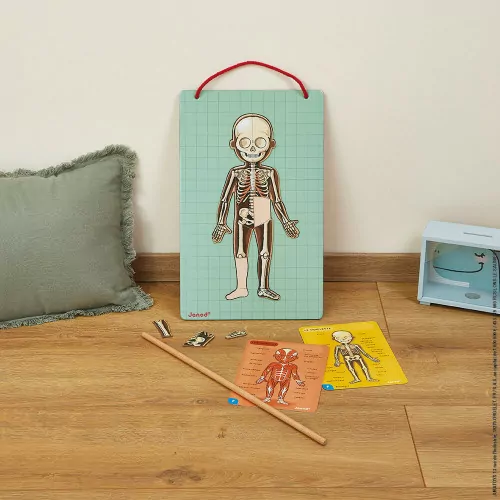 Janod Magnetspiel Körper – Bild 3
