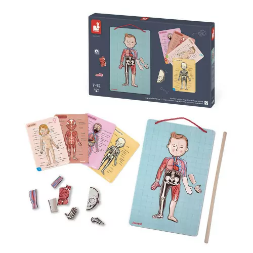 Janod Magnetspiel Körper – Bild 2