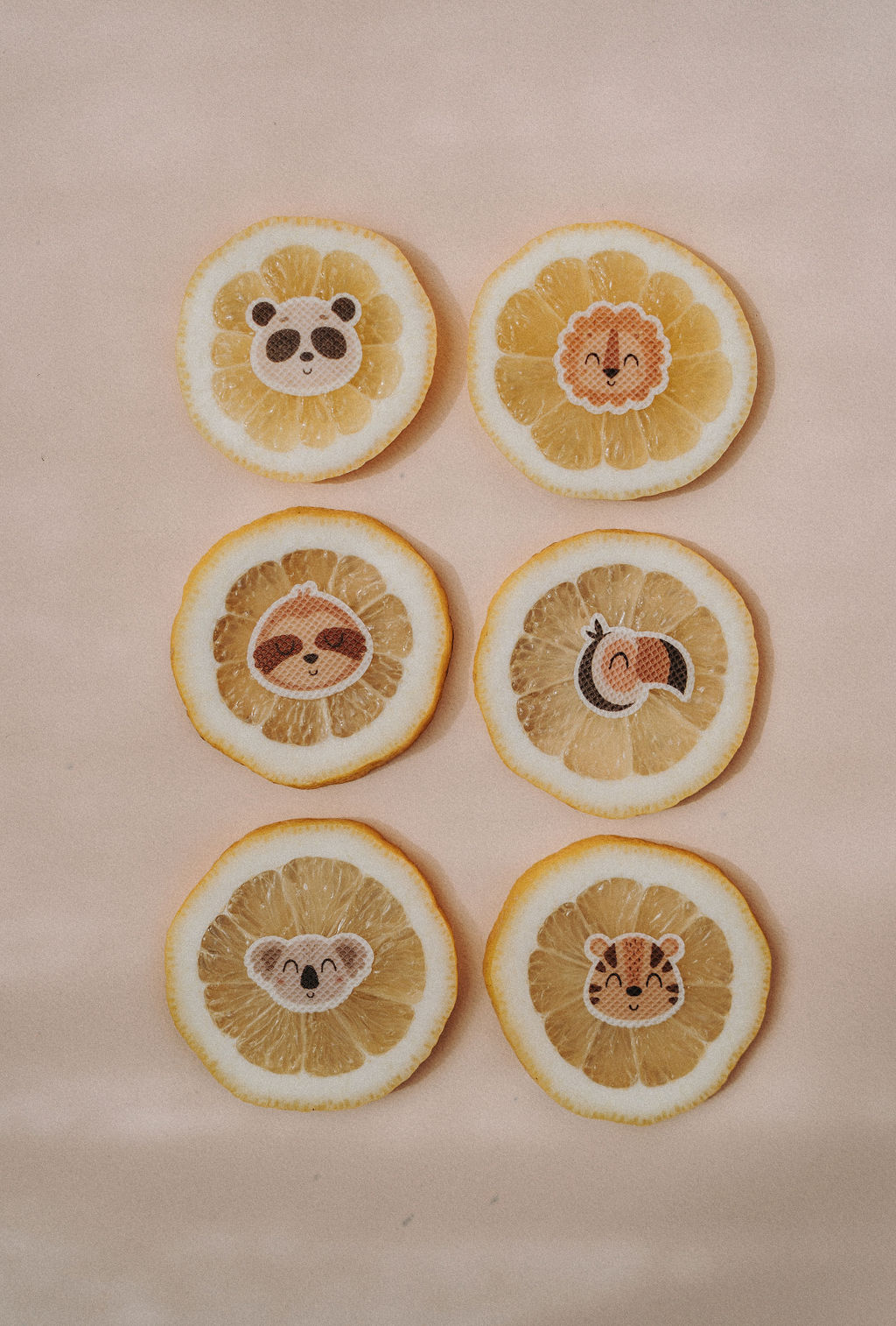 pieksmichnicht Sticker WILDLIFE – Bild 5