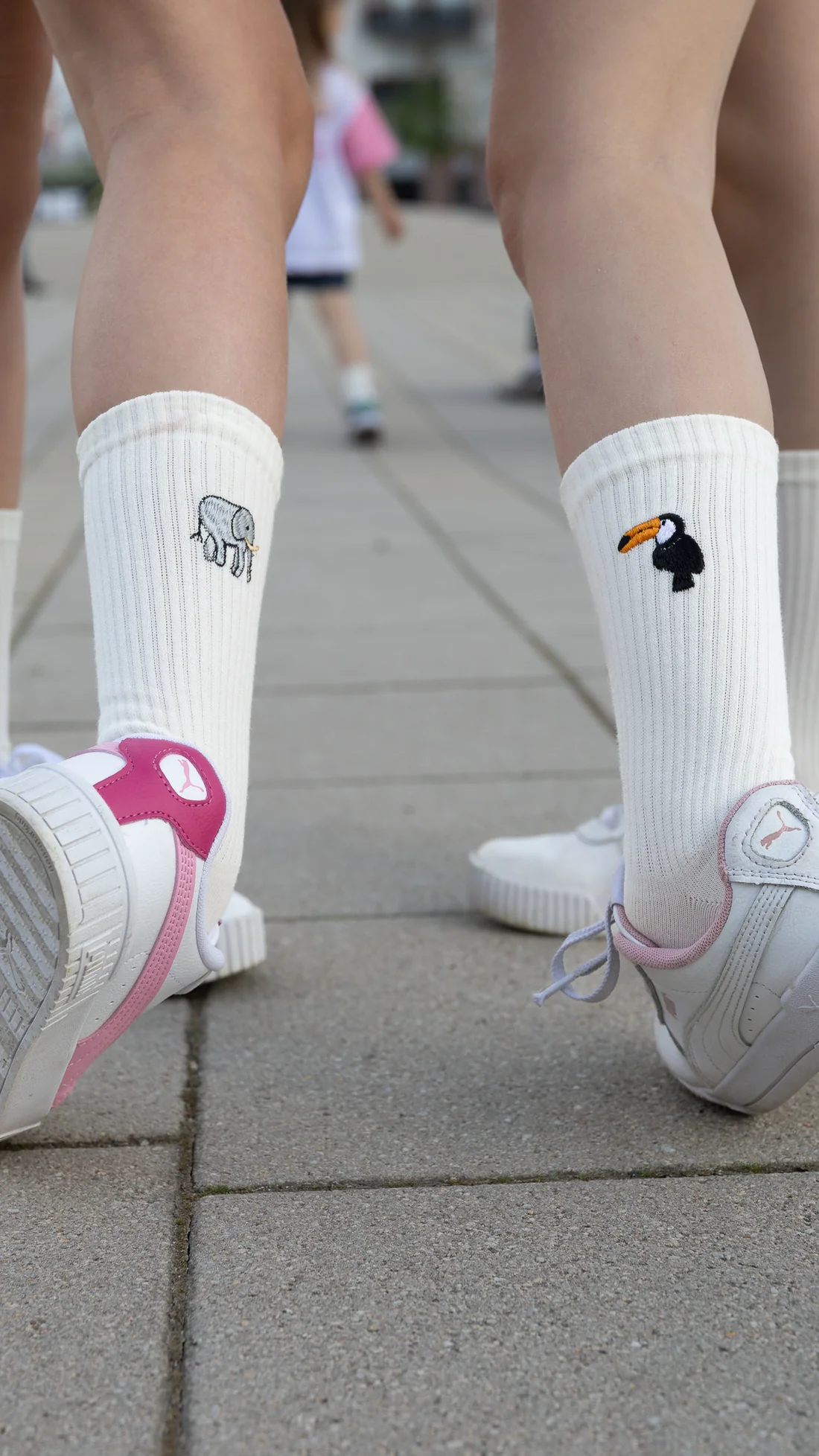 MyDayMyDream Socken Toucan – Bild 2