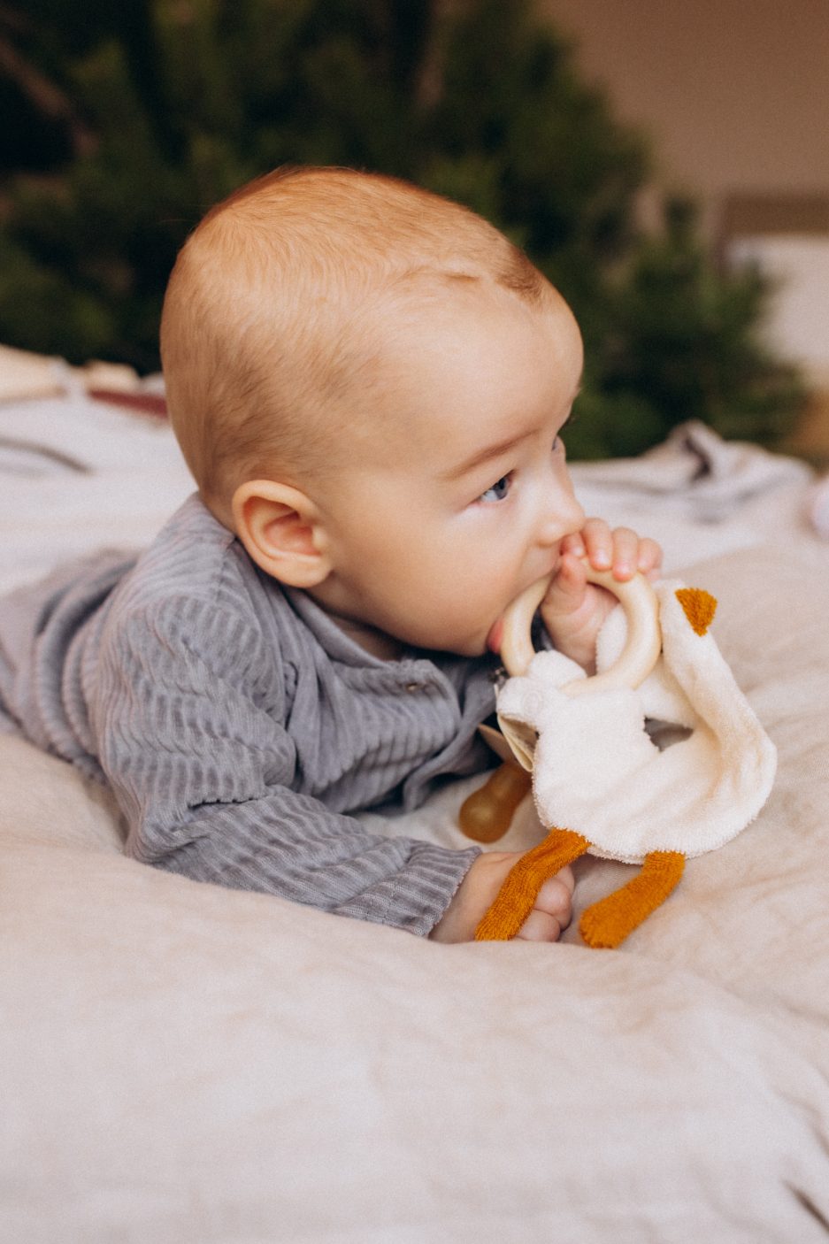 Wooly Organic Crinkle-Spielzeug „Gans“ – Bild 2