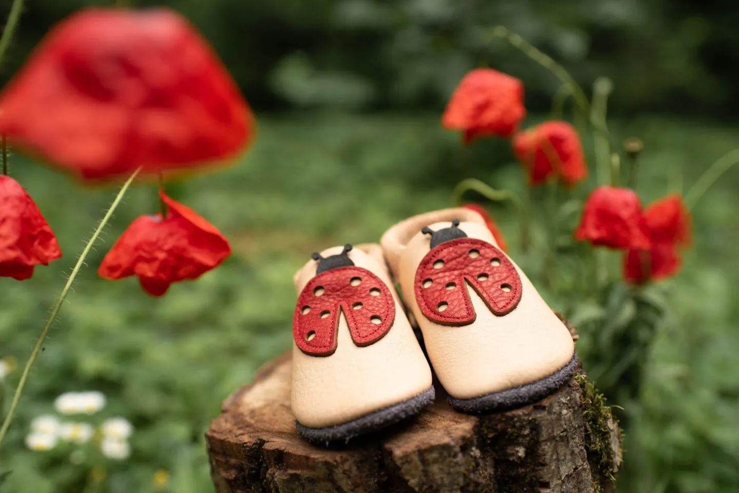 Baobaby Lederschuhe "Lady Mara" – Bild 4