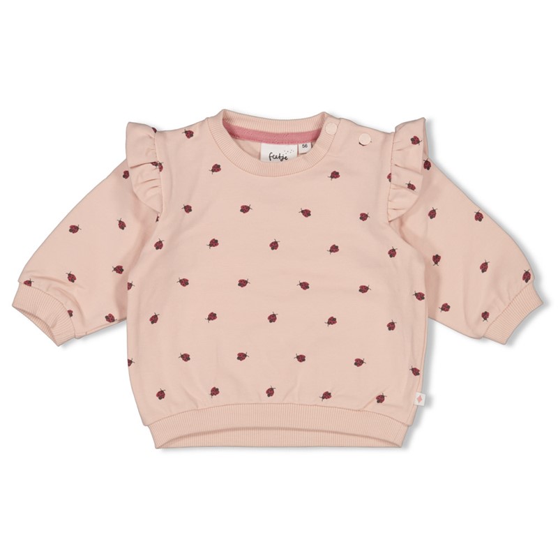 Feetje Baby Sweater oversized - Ladybug